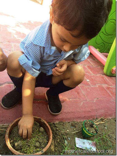 Mothercare school kids planting (1)