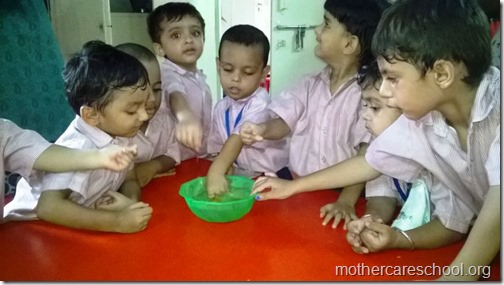 Mothercare school kids planting (12)