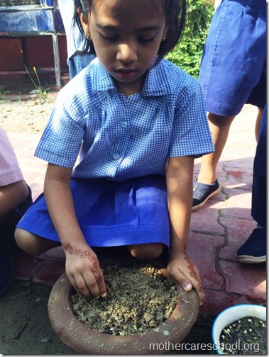 Mothercare school kids planting (3)