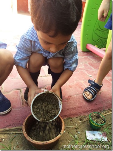 Mothercare school kids planting (8)