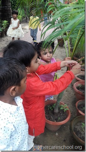 Playgroup children  learning about gratitude to those who nurture and care for us like the teachers, ayahs, van bhayiyas, trees and plants and Moolchand mali bhaiya by tying rakhis (4)