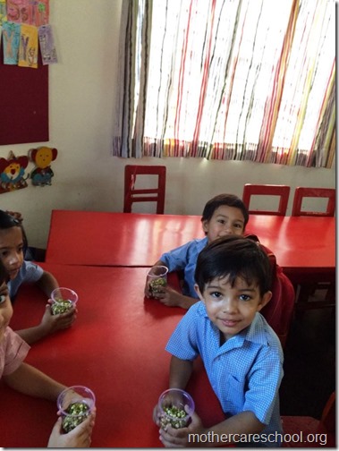 Sprouts are ready at Mothercare school Lucknow (1)
