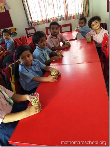 Sprouts are ready at Mothercare school Lucknow (10)