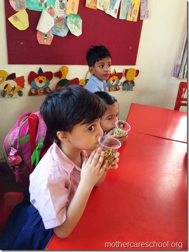 Sprouts are ready at Mothercare school Lucknow (4)