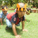View album