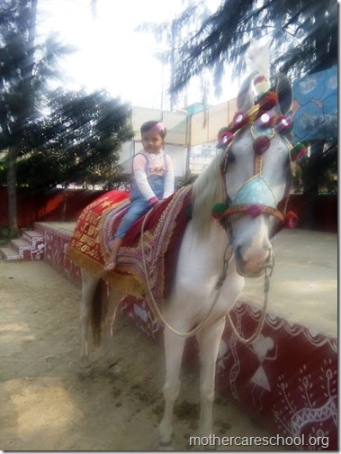 Bal Mela at Mothercare School (17)
