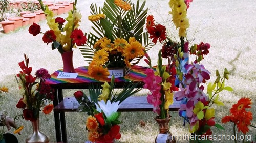 basant panchami at mothercare school lucknow (16)