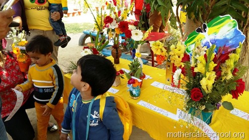 basant panchami at mothercare school lucknow (31)