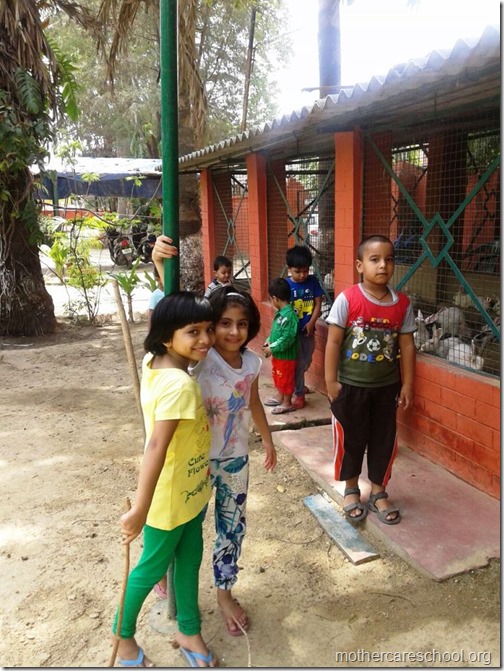 Best Daycare at Mothercare School Lucknow (3)