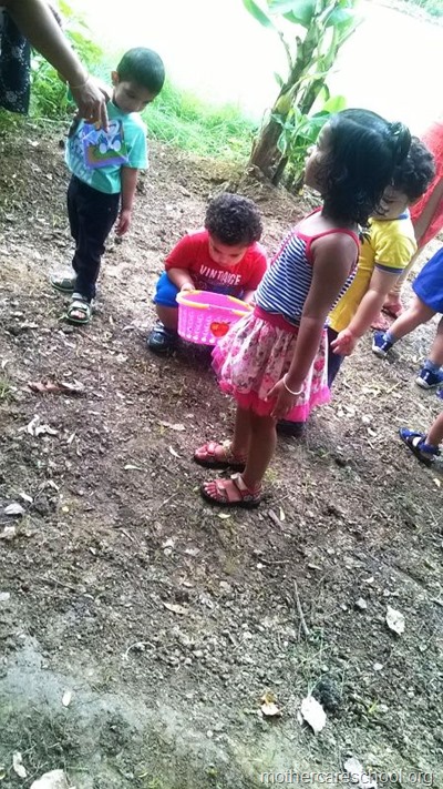 children planting neem seeds at nursery school (3)