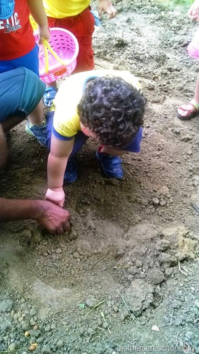 children planting neem seeds at nursery school (4)