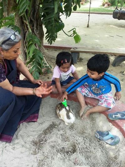 children with rabbit (2)
