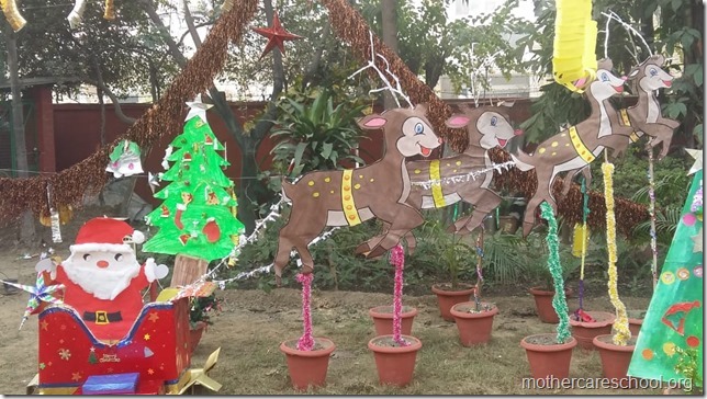 christmas celebrations (10)