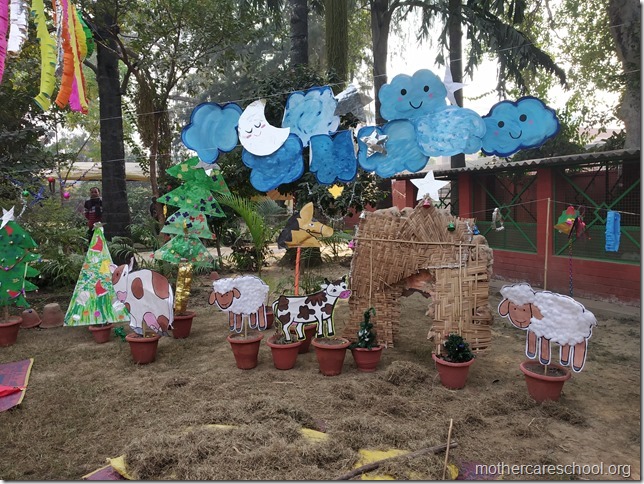 christmas celebrations (5)
