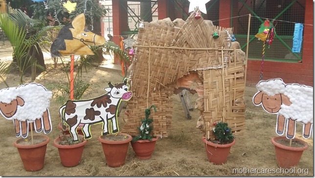 christmas celebrations (9)