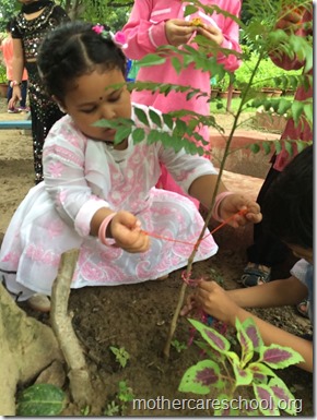 Colouring , paper crushing, tear and paste, cutting...collecting leaves...hand printing.. (12)