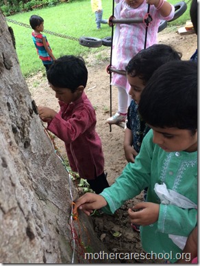 Colouring , paper crushing, tear and paste, cutting...collecting leaves...hand printing.. (13)