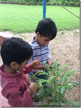 Colouring , paper crushing, tear and paste, cutting...collecting leaves...hand printing.. (19)