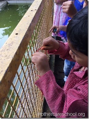 Colouring , paper crushing, tear and paste, cutting...collecting leaves...hand printing.. (7)