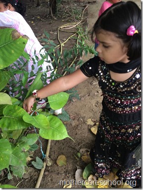 Colouring , paper crushing, tear and paste, cutting...collecting leaves...hand printing.. (8)