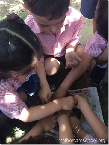 Earth Day Nursery kids learning to sow (3)