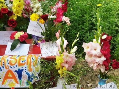 flower arrangement mothercare school, aliganj, lucknow (19)