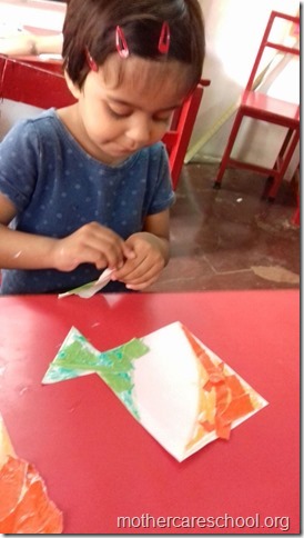 Get set go for Independence day (1)