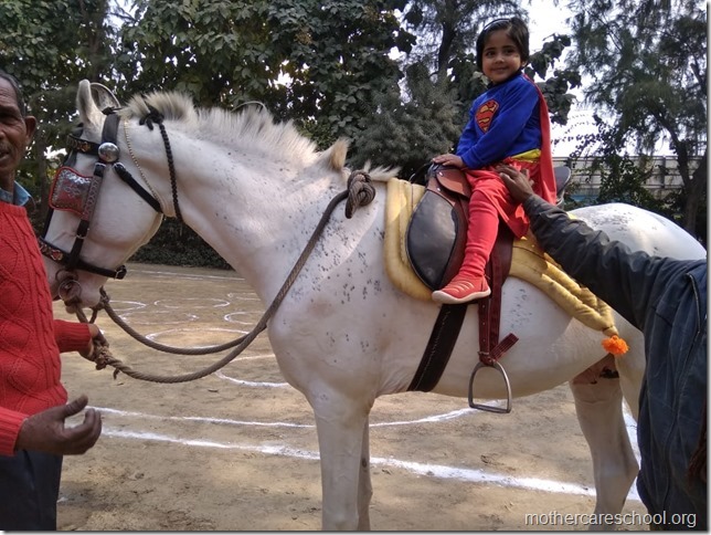 horse riding (3)