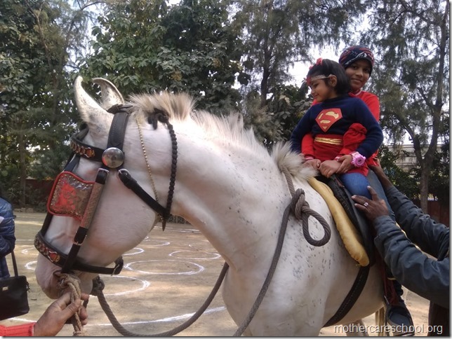 horse riding (4)