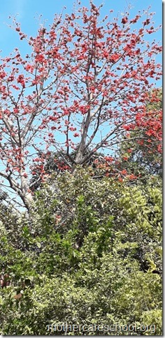 IMG-20190228-WA0003
