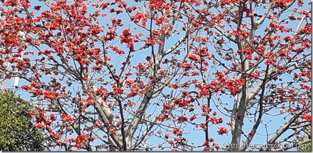 IMG-20190228-WA0004