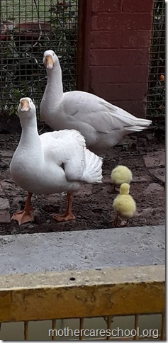 IMG-20190304-WA0009