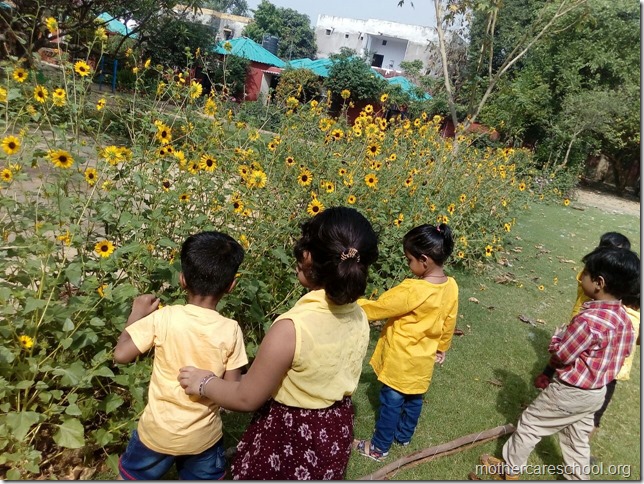 Inviting inspiring sunflowers too