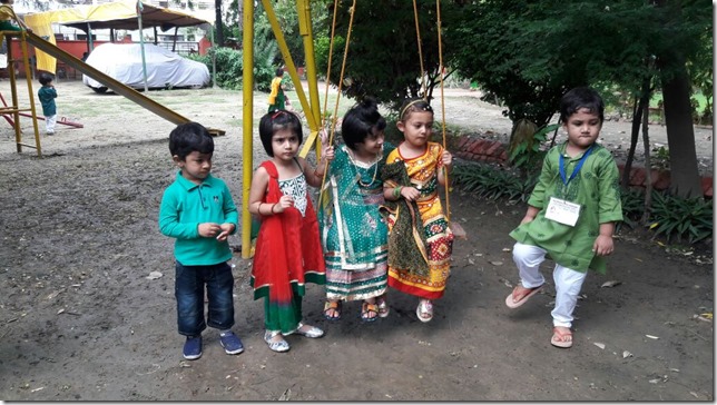 Jhoolas an integral part of teej (3)