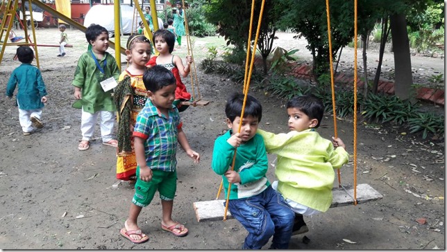 Jhoolas an integral part of teej (4)