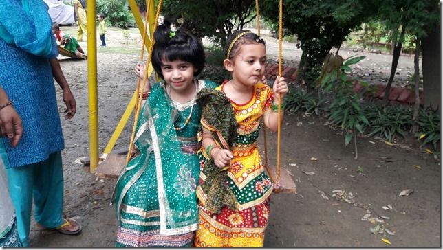 Jhoolas an integral part of teej (5)