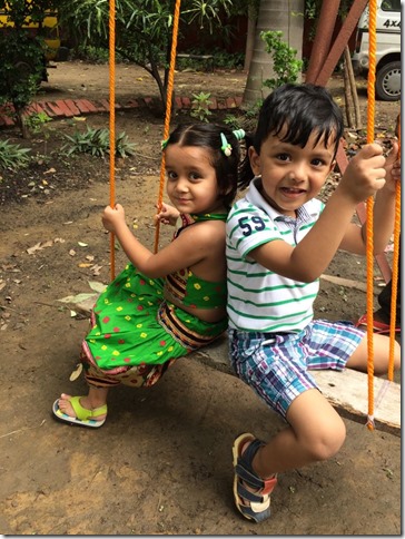 Jhoolas an integral part of teej (6)