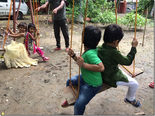 Jhoolas an integral part of teej (7)