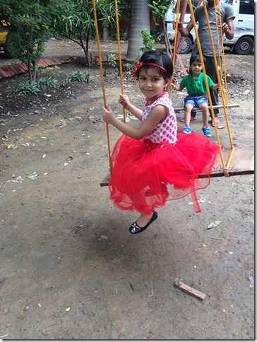 Jhoolas an integral part of teej (9)