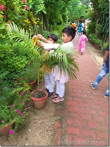 Joy of being. Joy of learning (1)