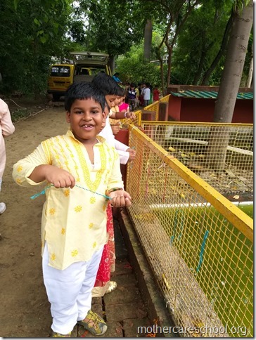 Joy of being. Joy of learning (4)