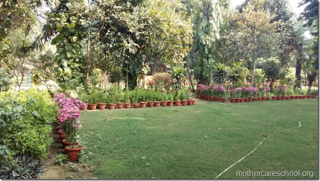 Learning in the lap of Nature. The Gardens at Mothercare School this Winter January 2018 (1)