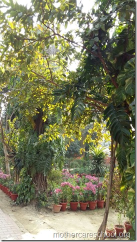 Learning in the lap of Nature. The Gardens at Mothercare School this Winter January 2018 (2)