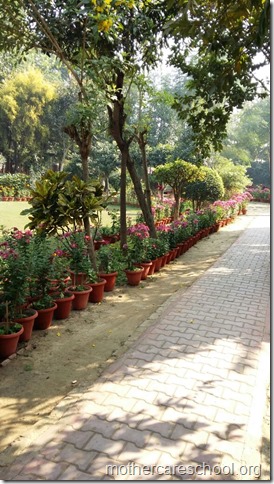 Learning in the lap of Nature. The Gardens at Mothercare School this Winter January 2018 (3)