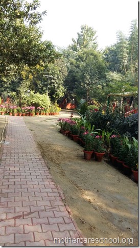 Learning in the lap of Nature. The Gardens at Mothercare School this Winter January 2018 (4)