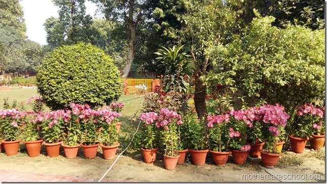 Learning in the lap of Nature. The Gardens at Mothercare School this Winter January 2018 (5)