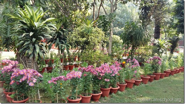 Learning in the lap of Nature. The Gardens at Mothercare School this Winter January 2018 (6)