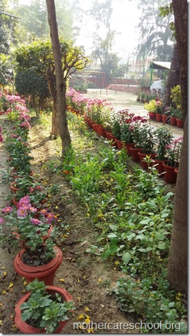 Learning in the lap of Nature. The Gardens at Mothercare School this Winter January 2018 (7)