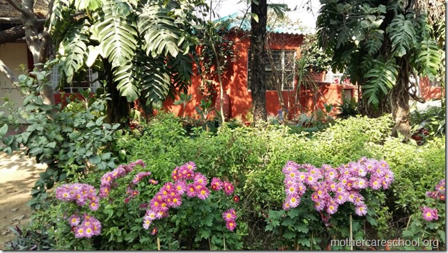 Learning in the lap of Nature. The Gardens at Mothercare School this Winter January 2018 (8)