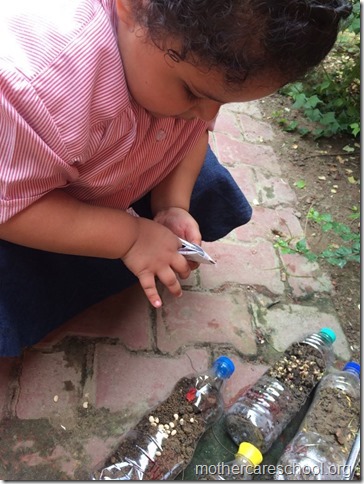 lets plant a flower (1)